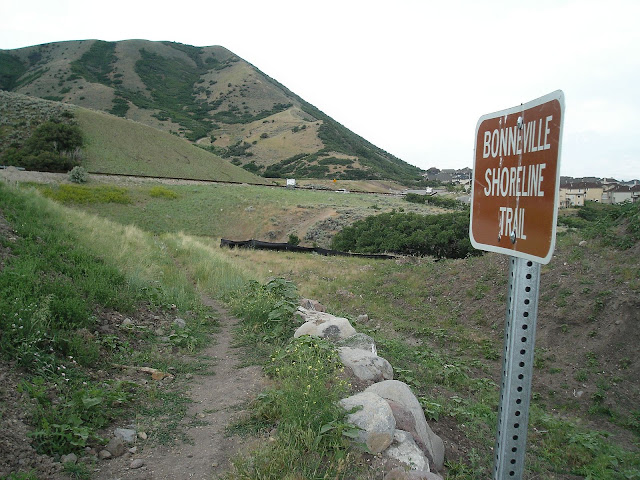 We need pictures of this section of trail. Email them to bonnevilleshorelinetrail@gmail.com.